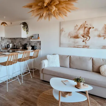 Sable & Pampas - Meuble De Tourisme 5 Etoiles - Vue Panoramique & Terrasse - Climatisation - A 200m Апартаменты Карнон-Плаж