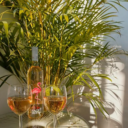 Sable & Pampas - Meuble De Tourisme 5 Etoiles - Vue Panoramique & Terrasse - Climatisation - A 200m Апартаменты Карнон-Плаж