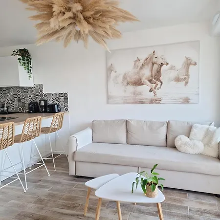 Sable & Pampas - Meuble De Tourisme 5 Etoiles - Vue Panoramique & Terrasse - Climatisation - A 200m شقة كارنو بلاج