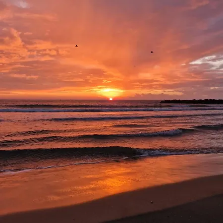 Sable & Pampas - Meuble De Tourisme 5 Etoiles - Vue Panoramique & Terrasse - Climatisation - A 200m Apartman