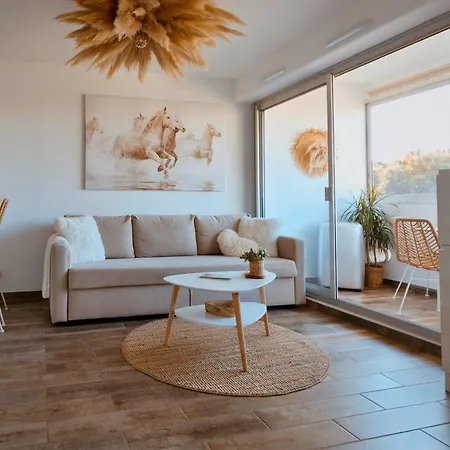 Apartment Sable & Pampas - Meuble De Tourisme 5 Etoiles - Vue Panoramique & Terrasse - Climatisation - A 200m *