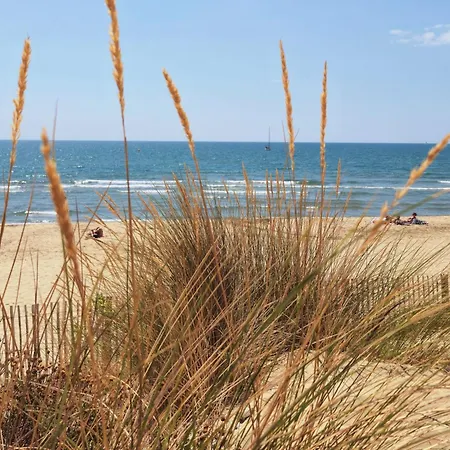 公寓 Sable & Pampas - Meuble De Tourisme 5 Etoiles - Vue Panoramique & Terrasse - Climatisation - A 200m 卡诺海滩