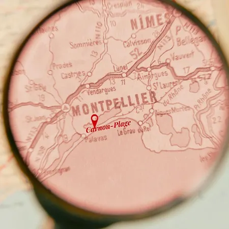 Sable & Pampas - Meuble De Tourisme 5 Etoiles - Vue Panoramique & Terrasse - Climatisation - A 200m 卡诺海滩